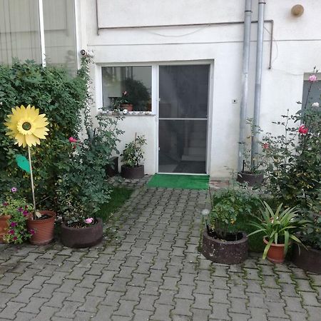 Vila Nely Rîşnov Kültér fotó
