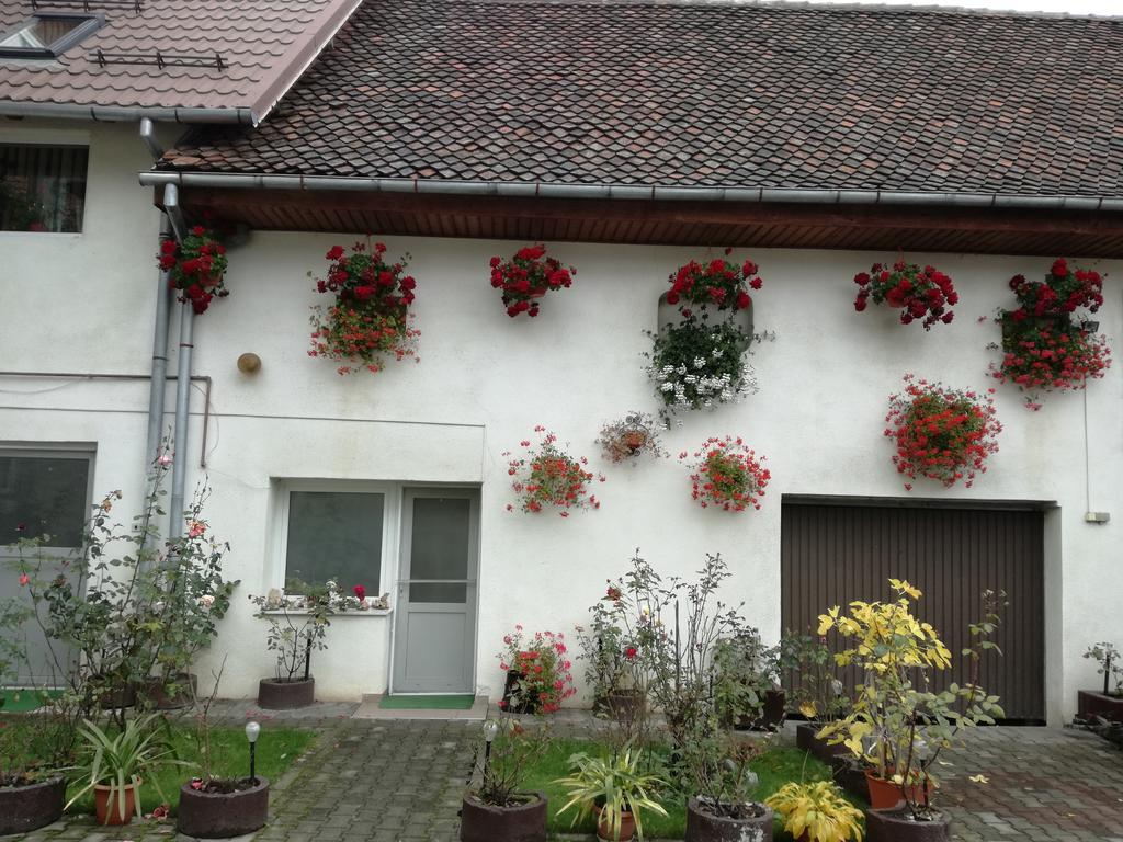 Vila Nely Rîşnov Kültér fotó