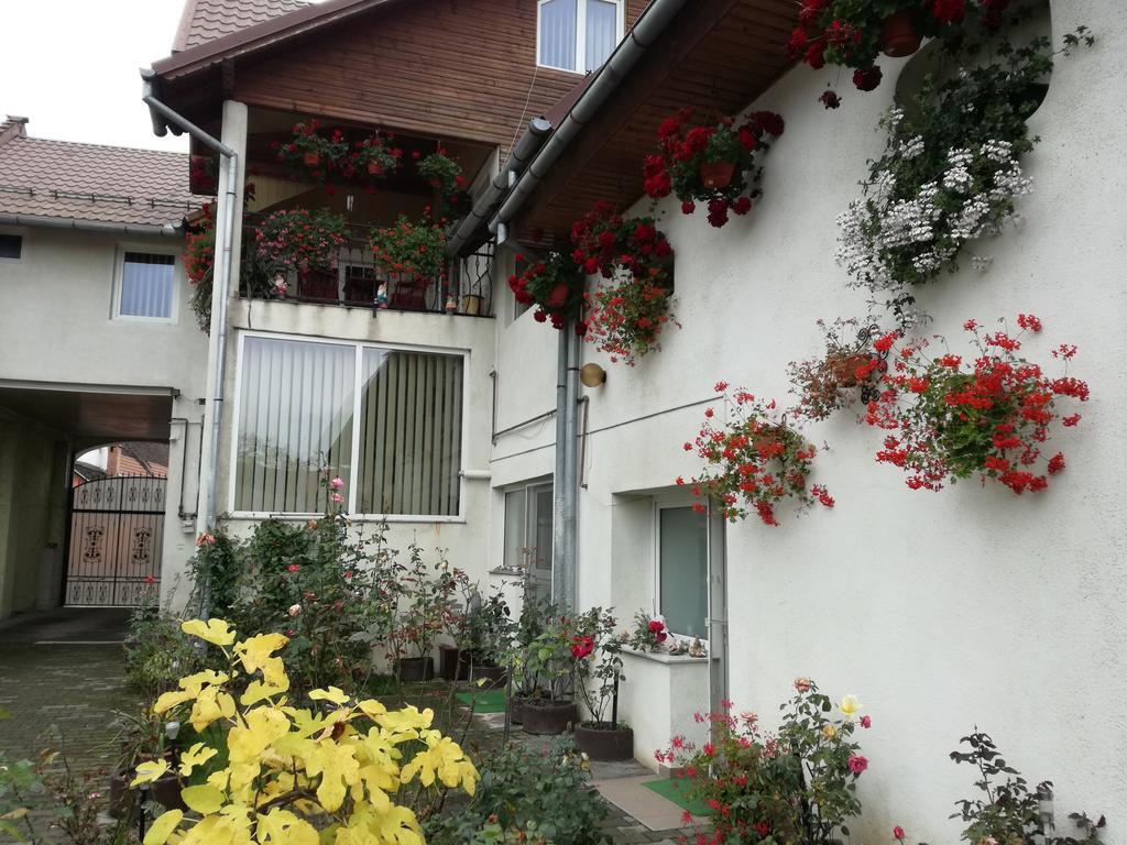 Vila Nely Rîşnov Kültér fotó