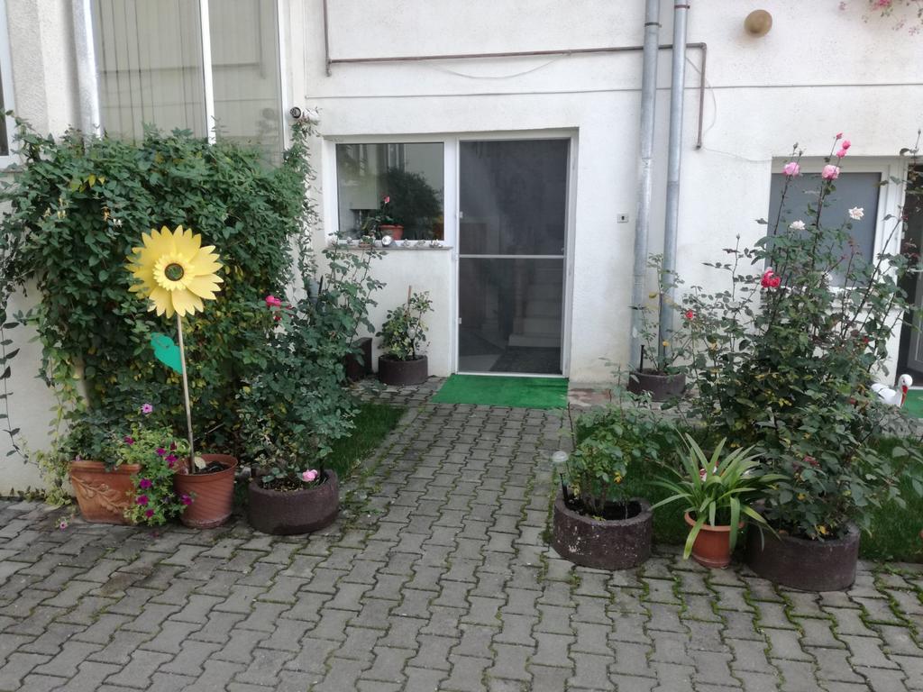 Vila Nely Rîşnov Kültér fotó